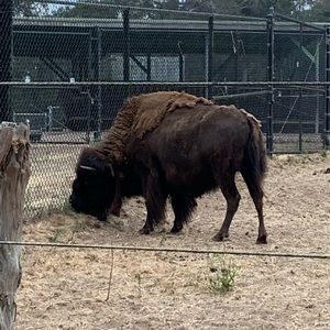 Meet your Posher, Jared